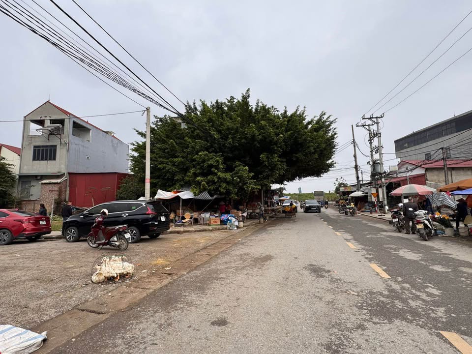 Đất Lô Góc Trung Tâm Chợ Hưng Hoá - 171.5m² Kinh Doanh Đắc Địa