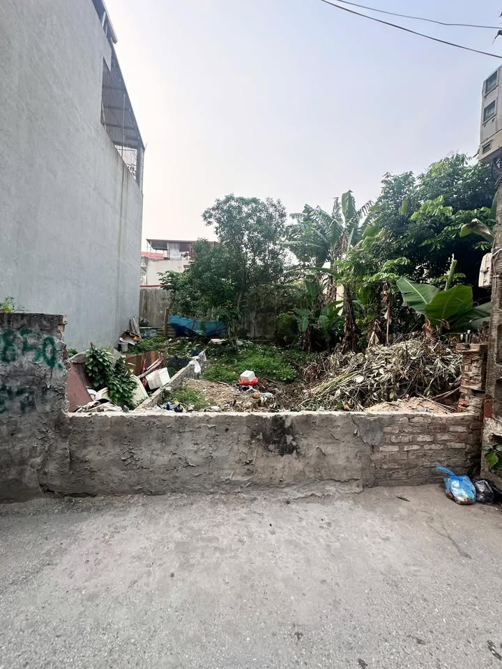 Đất Liên Ninh, Thanh Trì 48m² - Ngõ Ô Tô Tải Thông, Gần Phố Vũ Lăng