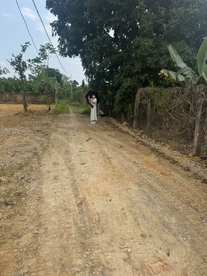 Đất Nền Ba Vì 100m² – Sổ Đỏ Thổ Cư, Giá Chỉ 700 Triệu