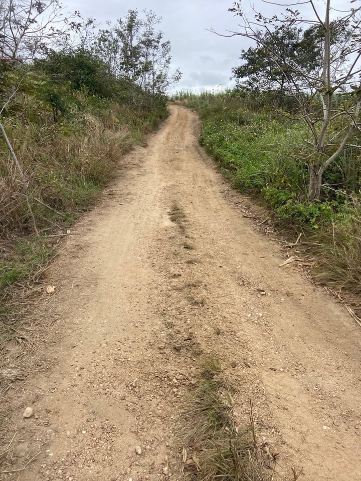 Đất Nền Ea Súp 10.000m² - Sổ Đỏ Sẵn Sàng, Giá Đầu Tư 600 Triệu