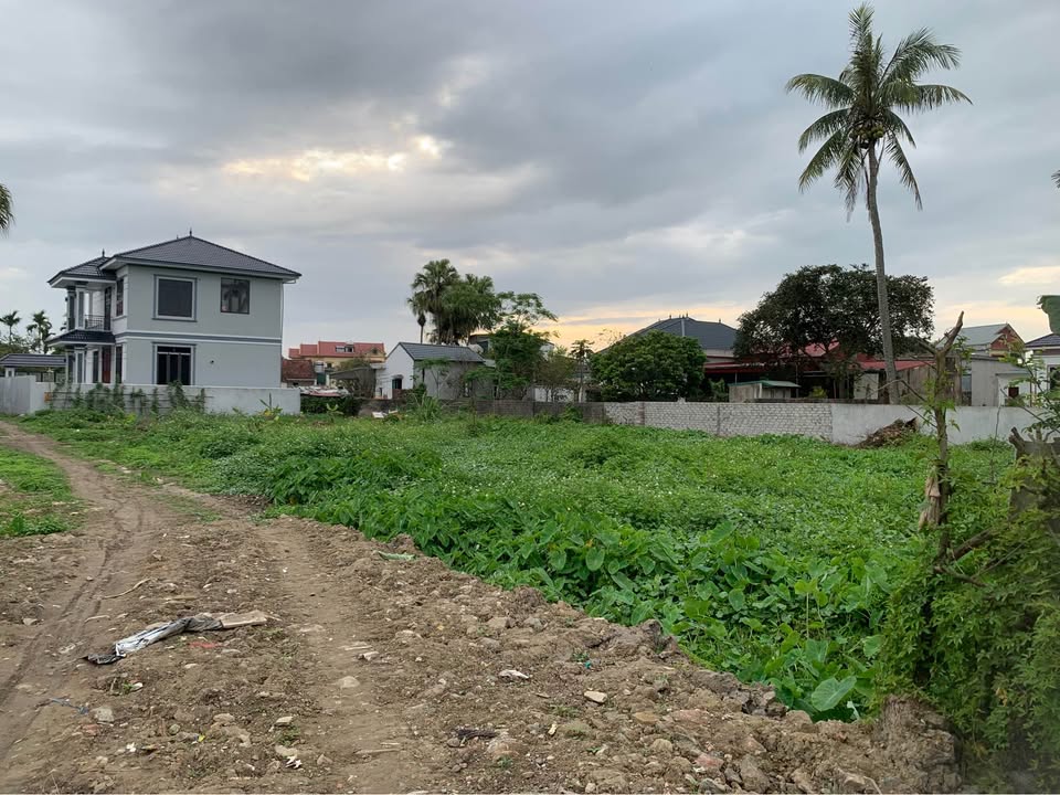 Đất Vườn 702m² Mặt Tiền 35m Hướng Nam - Lê Mạnh, Quảng Xương