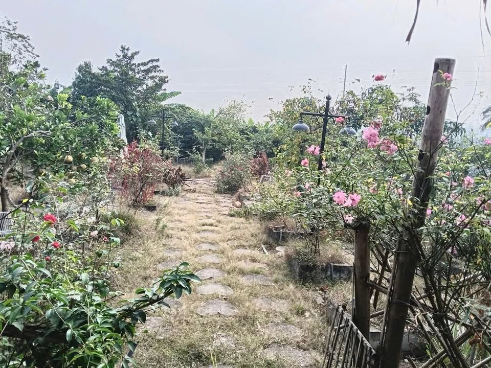 Bán Đất Sầm Sơn 14.000m² - Sổ Đỏ Chính Chủ, Giá 7.8 Tỷ