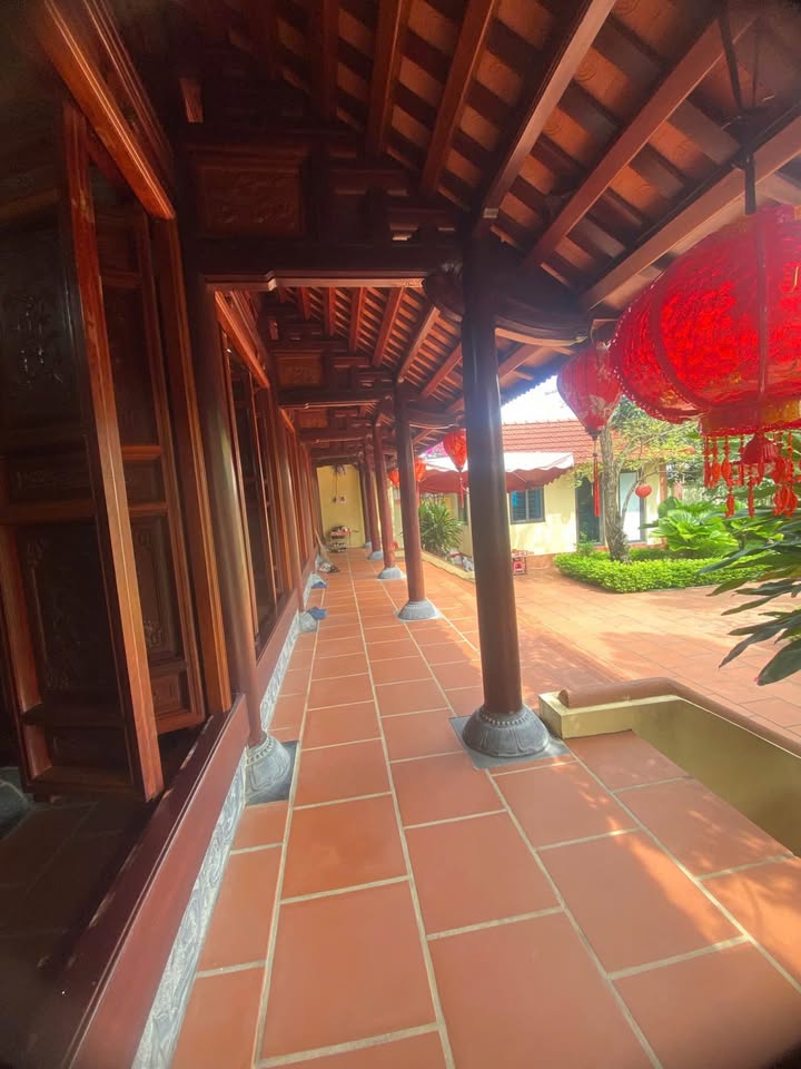 Đất Nền Bình Chánh 292m² - Xây Nhà Gỗ, Biệt Thự Nghỉ Dưỡng Đón Sinh Khí