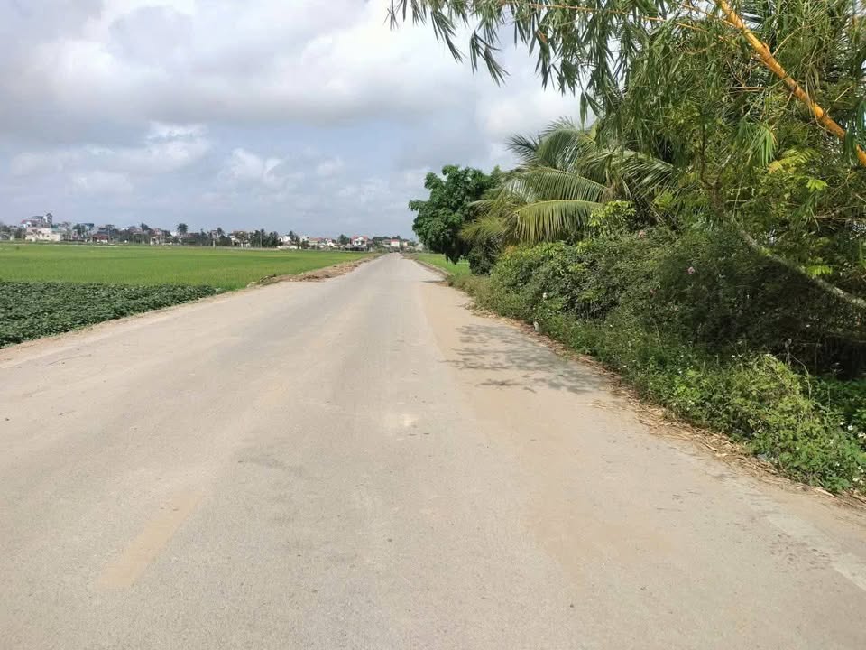 Đất TMDV 3 Mặt Tiền Biển Hải Tiến, Thanh Hóa - 2000m², 8 Tỷ