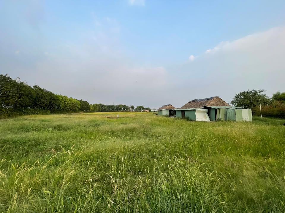 Đất nền Hóc Môn 6249m² - Sổ đỏ chính chủ, giá đầu tư 16.3 tỷ