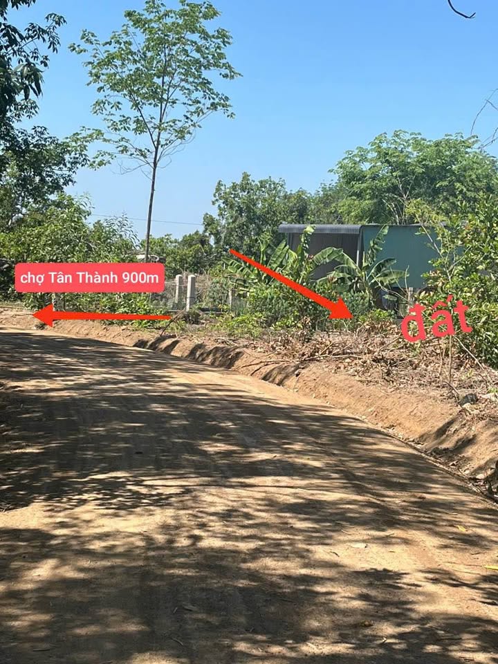 Đất Nền Đồng Xoài 5000m² Giá 290 Triệu - Bao Sổ, Gần Chợ & KCN