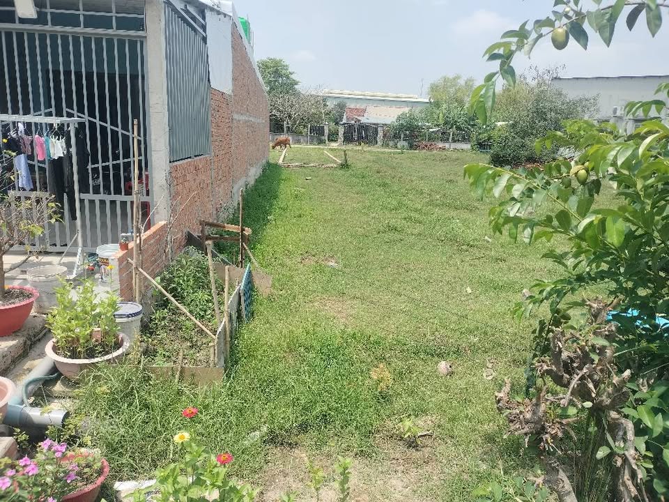 Đất Nền Quận 12 - 92m² Sổ Hồng Riêng - Giá 500 Triệu