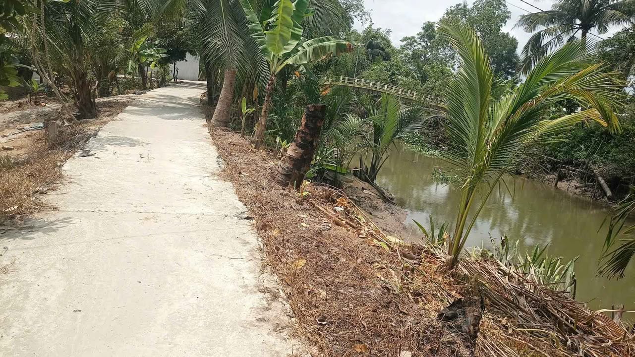 Bán Nhanh 3 Nền Đất ODT 63m² Phường Đại Thành, Cần Thơ - Chỉ 170 Triệu