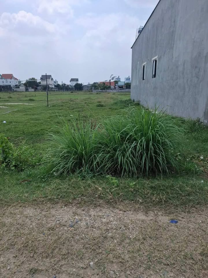 Đất Nền Sổ Hồng Riêng Mỹ Hạnh Bắc, Long An - 150m² Giá 1.25 Tỷ, Giáp Hóc Môn