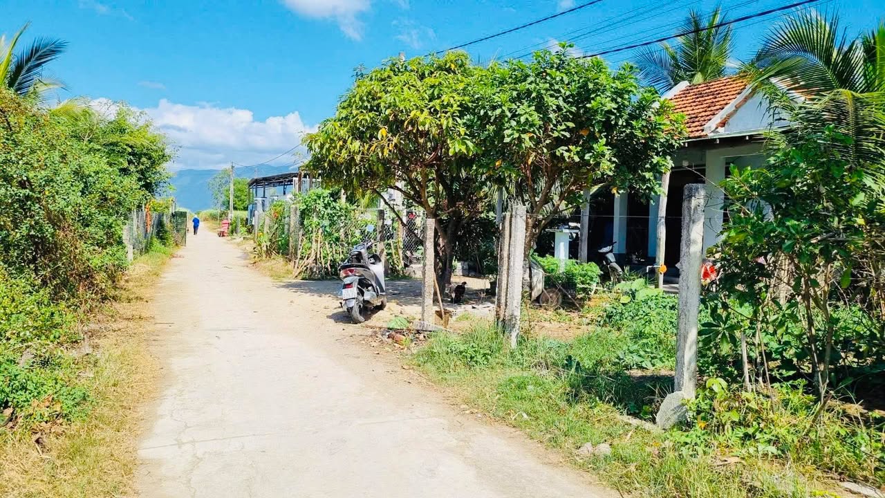 Đất Nền Ninh Hòa 263m² Giá Chỉ 3xx Triệu - Sổ Hồng Sẵn Sàng