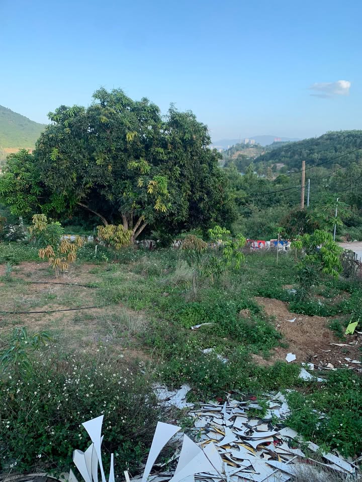 Bán Nhanh Đất Vườn 200m² Thôn Liên Thành, Nha Trang - Giá 790 Triệu