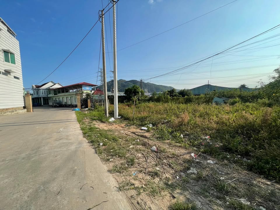 Cho thuê đất mặt tiền Trần Hưng Đạo, Phù Cát - 400m², 35 triệu/tháng