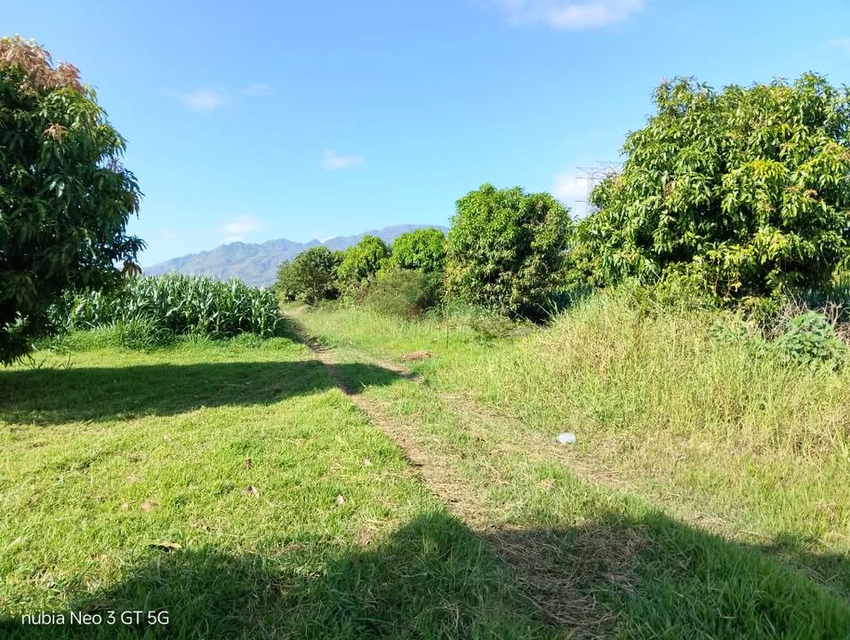 Đất Vườn Ninh Thuận 13.000m² - Sổ Hồng, Đường Ô Tô, Giá Đầu Tư 13 Tỷ