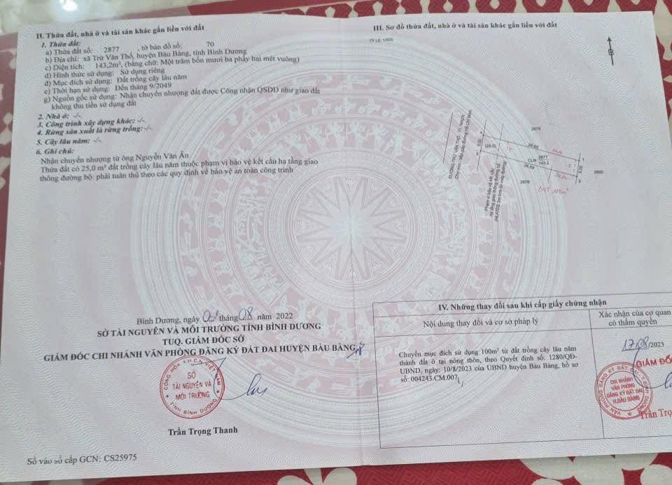 Đất Mặt Tiền Thuận An 100m² - Kinh Doanh Đắc Lợi, Giá Chỉ 1.2 Tỷ