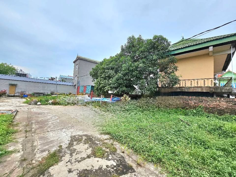 Bán đất Đình Trung Thư, Hà Đông - 223m² - Ô tô vào đất