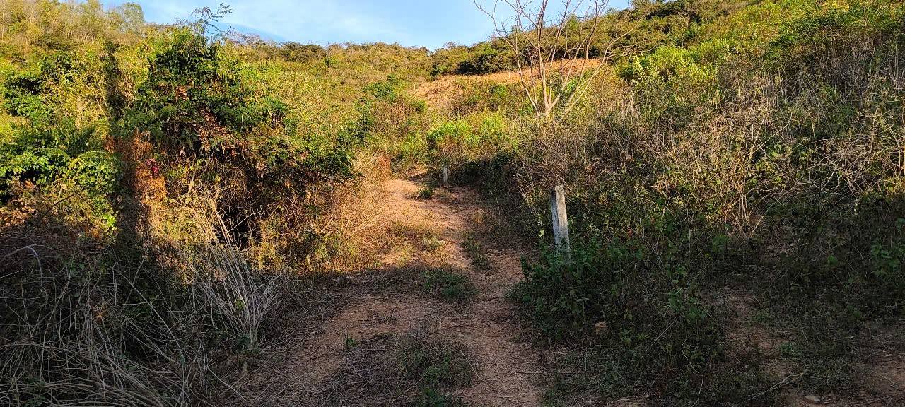 Đất Vườn Ninh Hải, Khánh Hòa 1356m² - Cơ Hội Đầu Tư Sinh Lời