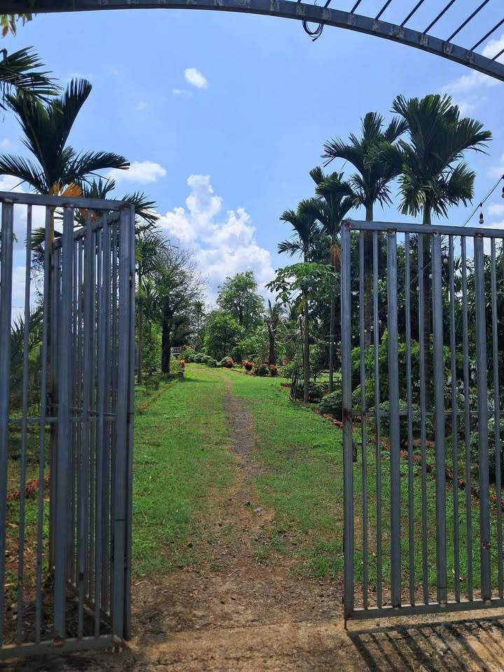 Bán Đất Vườn Buôn Ma Thuột 5700m² - Mặt Tiền Đường, View Suối