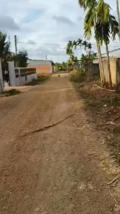 Đất Vườn Đắk Lắk 1560m² - Trục Chính Dray Bhăng, Sổ Đỏ Riêng