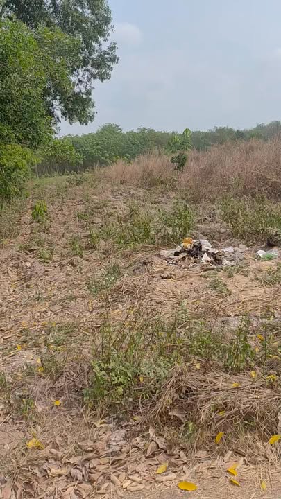 Đất Nền Mặt Tiền Phú Giáo 250m² - Sổ Sẵn, Giá 950 Triệu/Nền