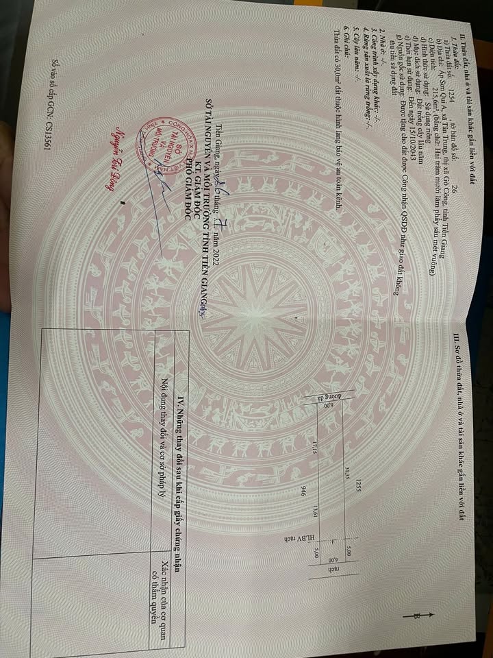 Đất nền 100m² Tân Trung, Gò Công - Giá chỉ 3xx triệu, sổ sẵn