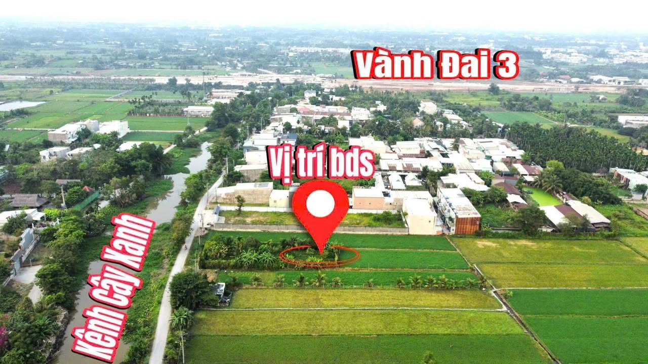 Đất Thổ Cư 1202m² Mặt Tiền Rạch Cây Xanh Củ Chi - Giá Tốt