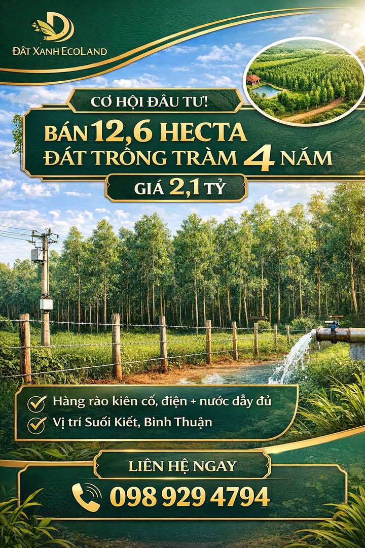 Bán Đất Trồng Tràm 12.6ha Suối Kiết, Bình Thuận - Giá 2.1 Tỷ