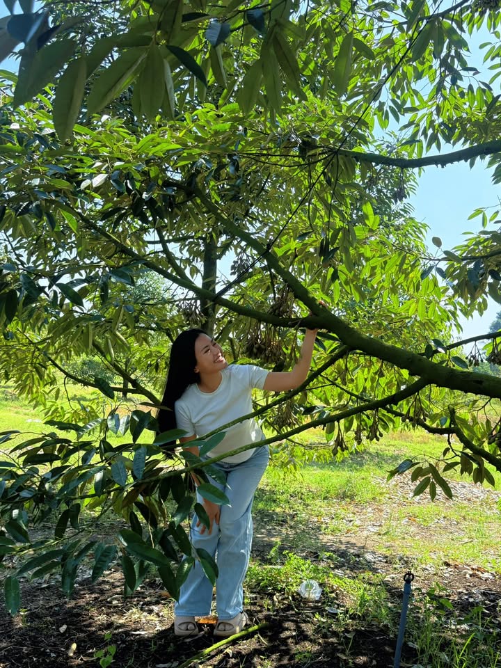 Đất Vườn Đồng Nai 10.500m² - 700 Triệu/Sào, Sổ Đỏ Thổ Cư