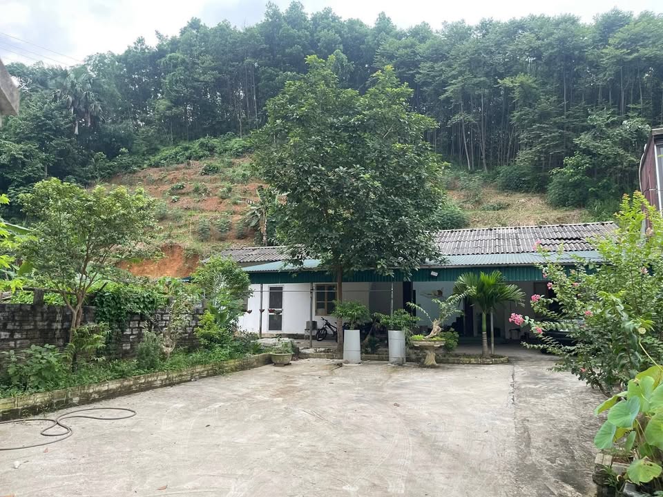 Đất Vườn 1600m² Tặng Nhà 4PN - Yên Bái - Giá Đầu Tư