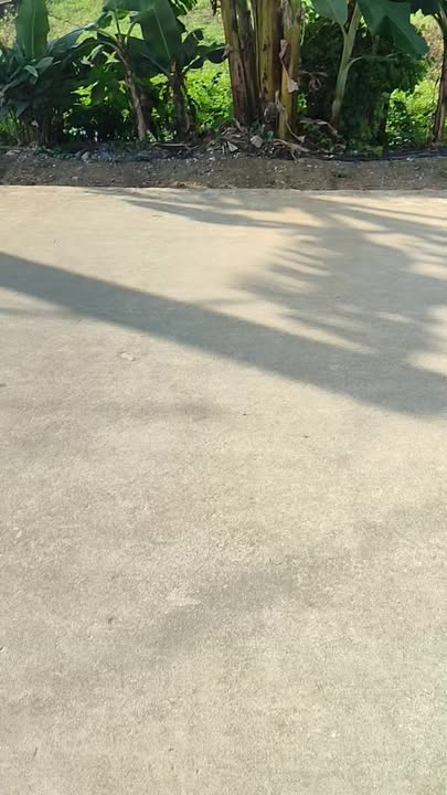 Đất nền Xóm 12 Nga An, Thanh Hóa - 120m² Hướng Đông, Giá tốt