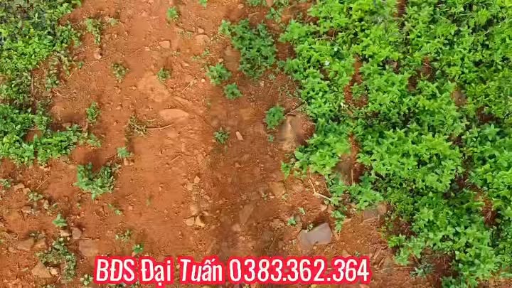 Đất Ninh Gia, Đức Trọng 270m² Mặt Tiền Nhựa - Giá Ngộp Đầu Tư