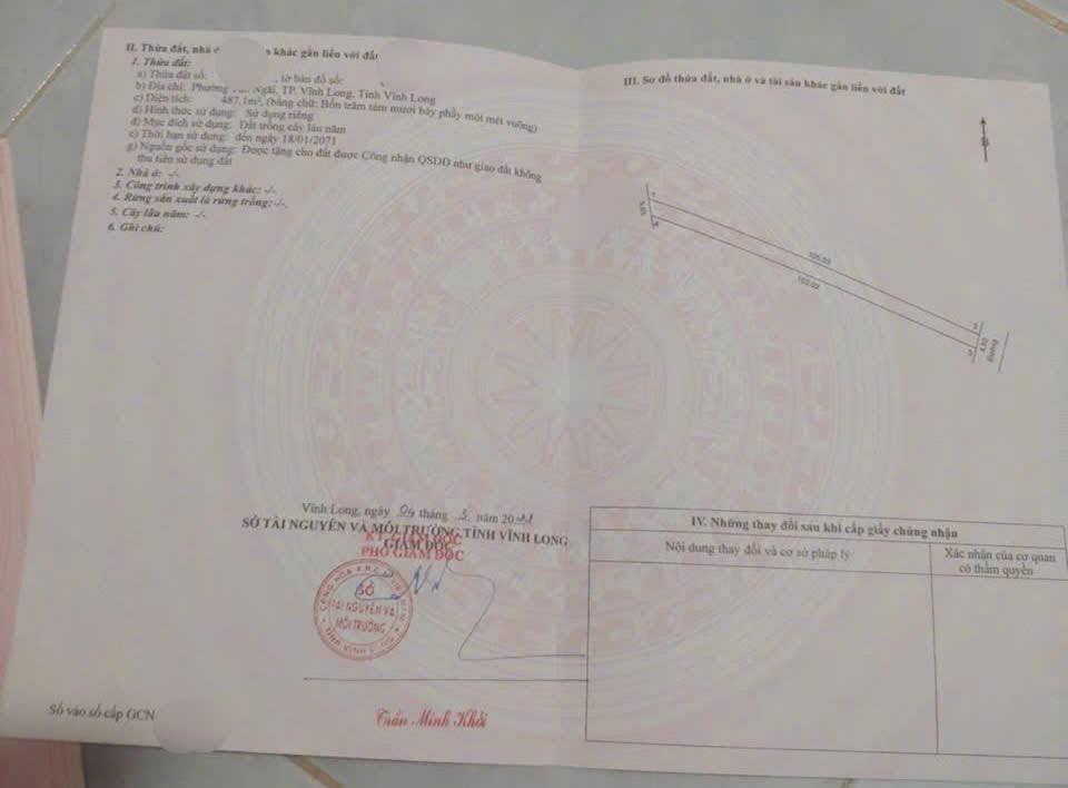 Đất Vĩnh Long 1.420m² - Vườn Mít Thái Sẵn Thu Hoạch, Giá Tốt