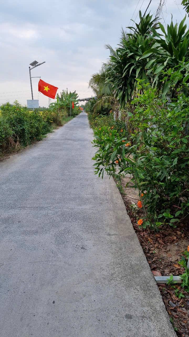 Bán Đất Vĩnh Long 1000m² Mặt Tiền Sông, Gần Cầu Cống - Giá Đầu Tư 5 Tỷ