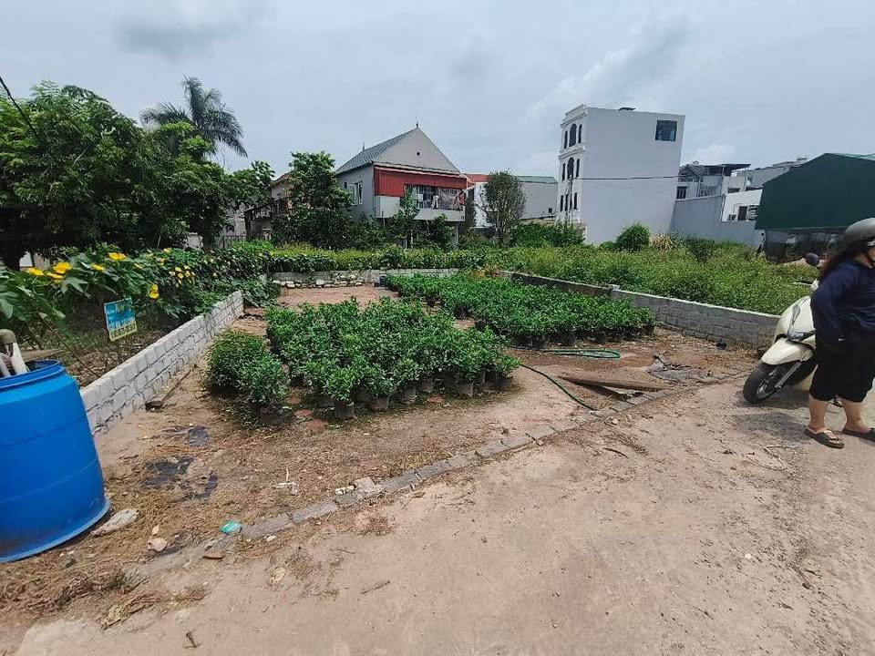 Đất nền 129m² Văn Giang, Hưng Yên - Kinh doanh sầm uất, tiềm năng sinh lời cao