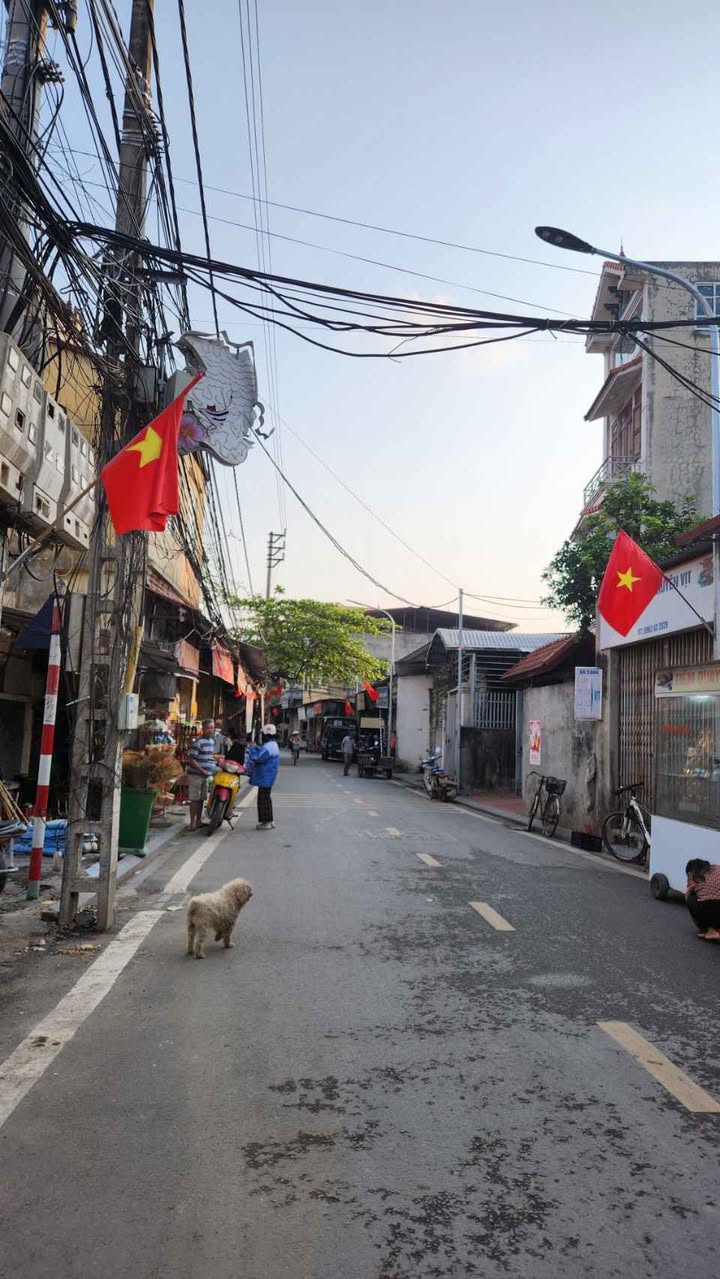 Bán Đất Tặng Nhà C4 46m² Đông Anh - 3 Tỷ, Ô Tô Đỗ Cửa