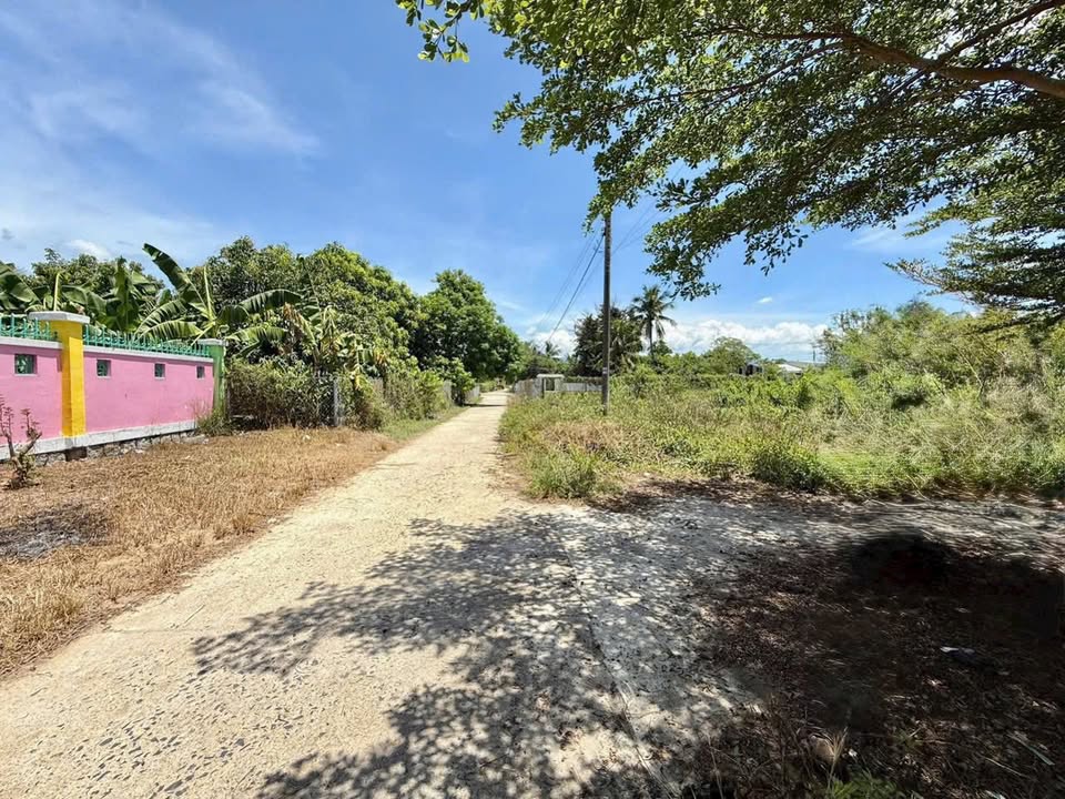 Đất Lô Góc Suối Tiên, Diên Khánh - 234m² Full Thổ Cư, 2 Mặt Tiền Kinh Doanh