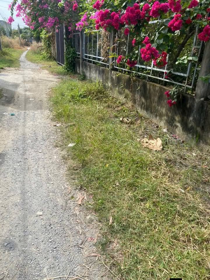 Đất Vườn Sổ Hồng Riêng 160m² Đức Hòa Thượng - Giá Đầu Tư 480 Triệu