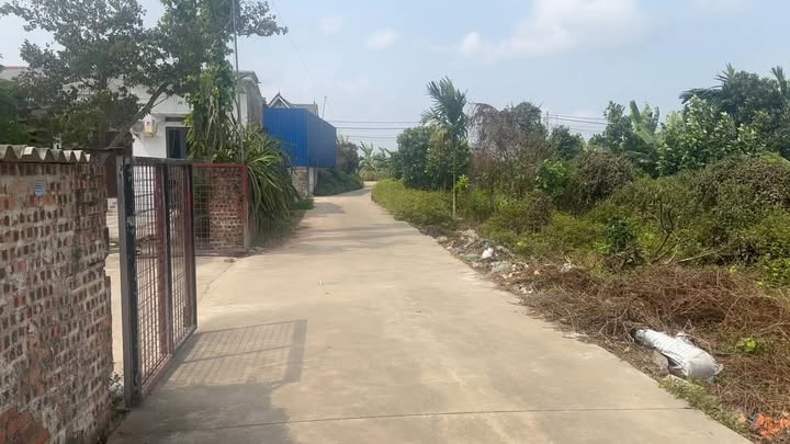 Bán Trang Trại Gà 3982m² Tiên Thanh, Hải Phòng - Sẵn Sàng Chăn Nuôi