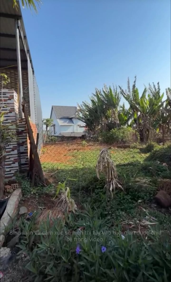 Đất Vàng Tô Hiến Thành, Đắk Mil 135m² - Đối Diện THPT, Vừa Ở Vừa Kinh Doanh