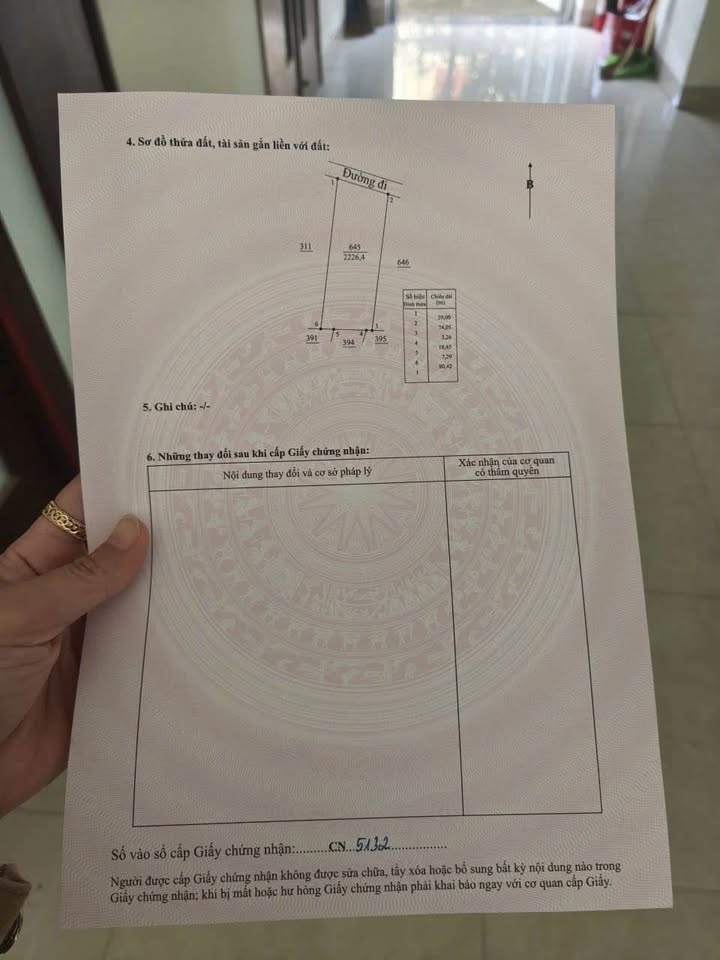 Đất Vườn Trà Giang Quảng Ngãi 2000m² - Sẵn Vườn Cau, Cơ Hội Đầu Tư