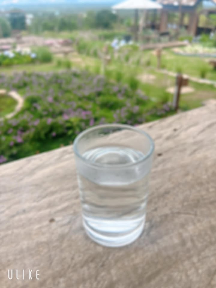 Đất nền Trương Định, Gia Lai - 155m² full thổ cư, giá chỉ 500 triệu