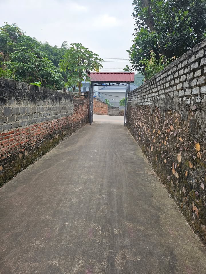 Đất nền Việt Yên 125m² - Gần KCN Yên Lư, Giá Hời!