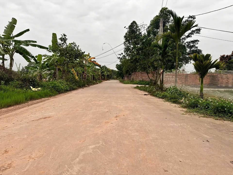 Bán Đất Vườn Lô Góc 660m² Việt Lập, Bắc Giang - Sổ Thổ Cư Sẵn Sàng