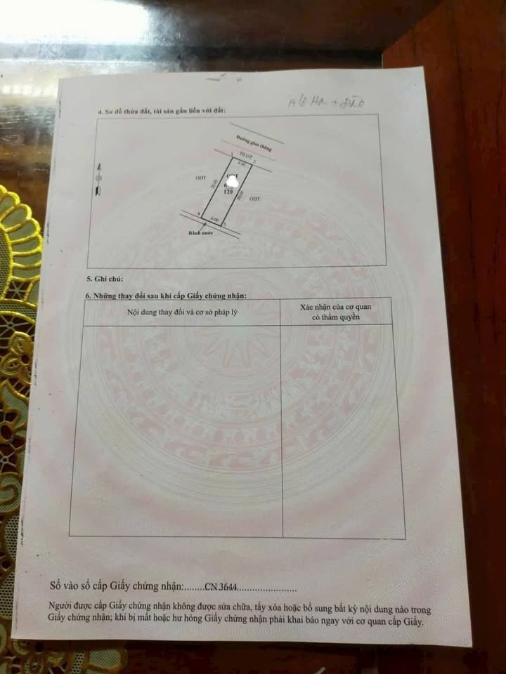 Bán đất 120m² mặt tiền đường thông - Trung tâm Lâm Thao, Phú Thọ - Sẵn Sàng Xây Dựng