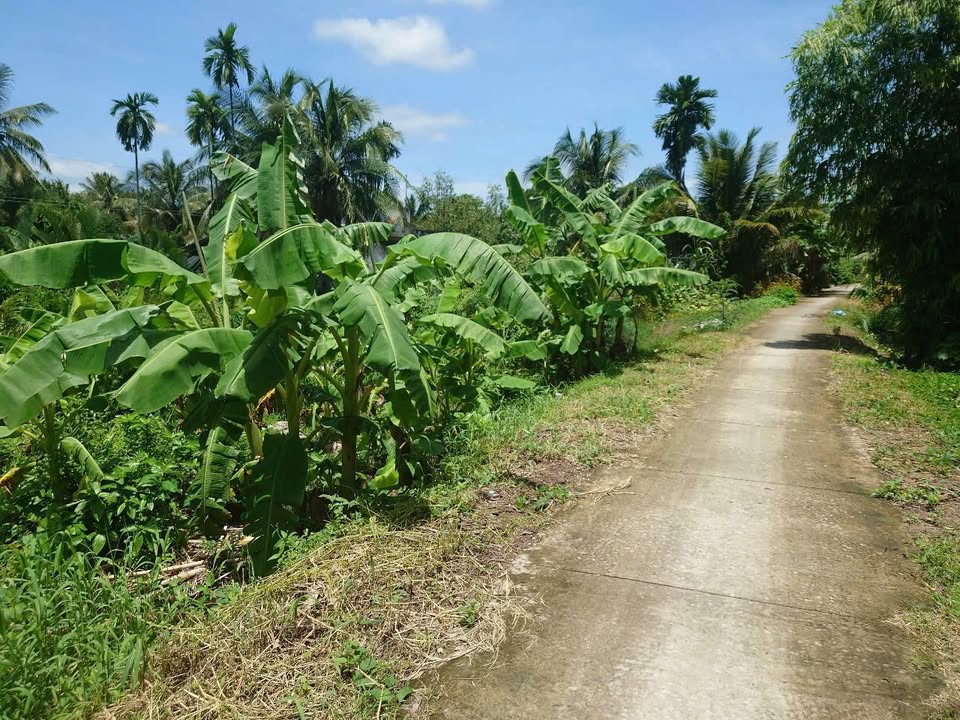 Đất Nền Bến Tre 632m² Sát UBND Xã - Lộc Lối Thoáng Sông