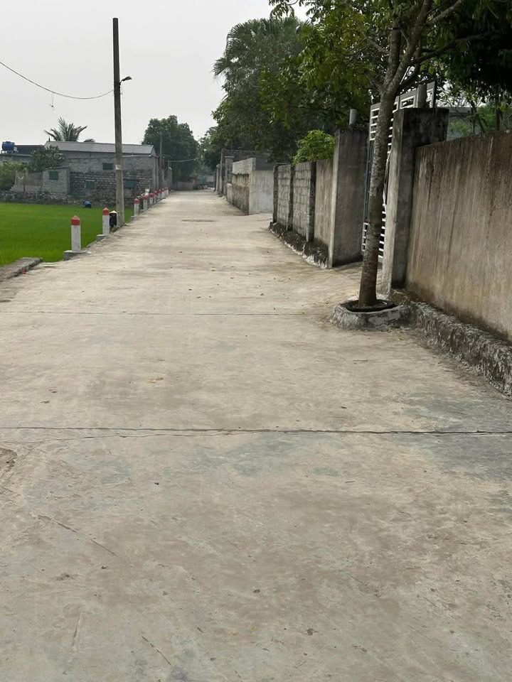 Đất Vàng Yên Thành, Yên Mô - 96m² - Sổ Đỏ Rõ Ràng - Giá Tốt