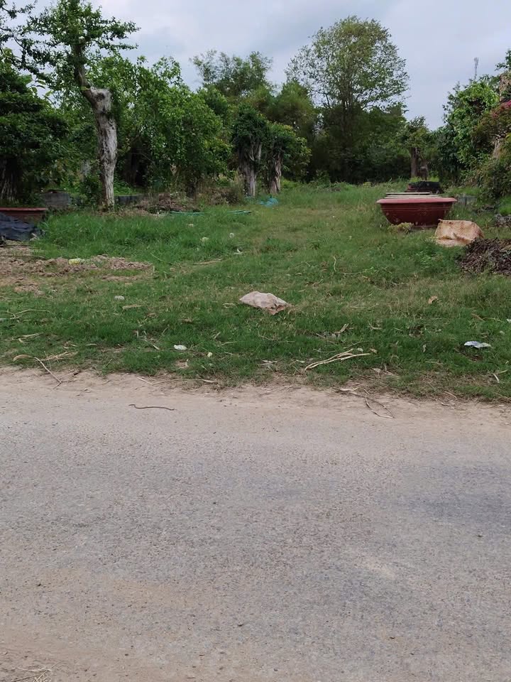 Đất Vĩnh Long 1440m² - Mặt tiền nhựa, dân cư đông đúc, giá 1.44 tỷ