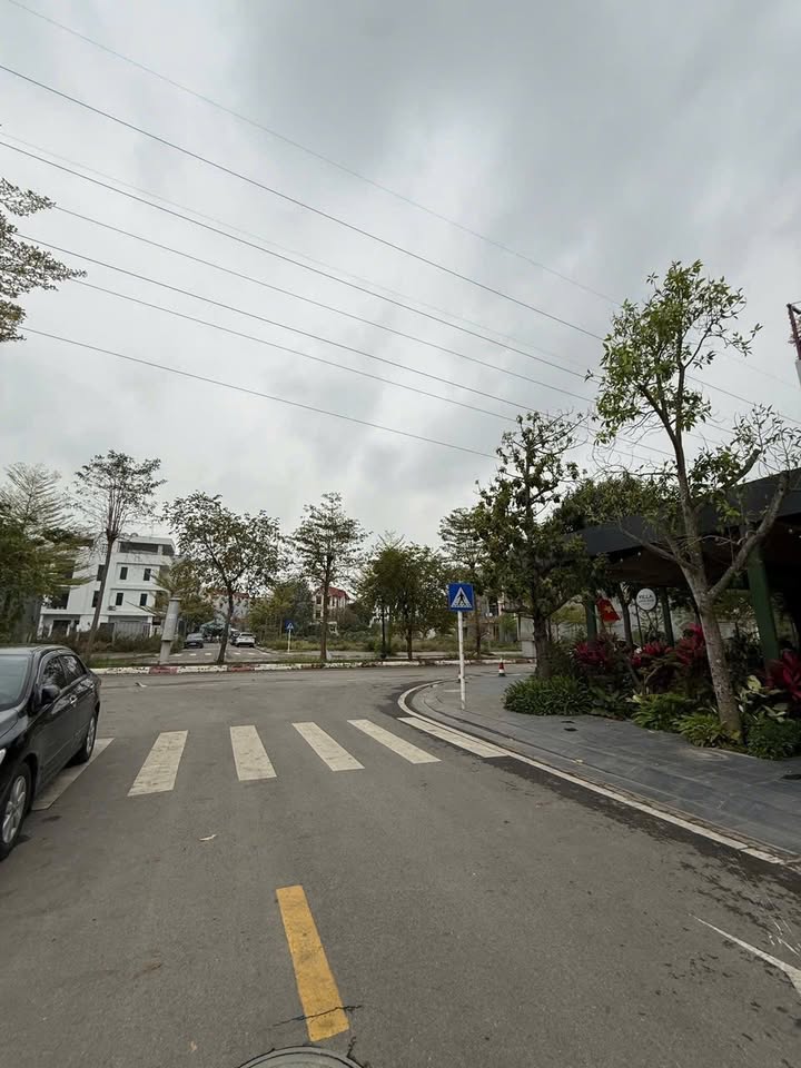 Đất Vàng Phúc Yên 113m² - Vị Trí Đắc Địa, Sổ Đỏ Sẵn Sàng