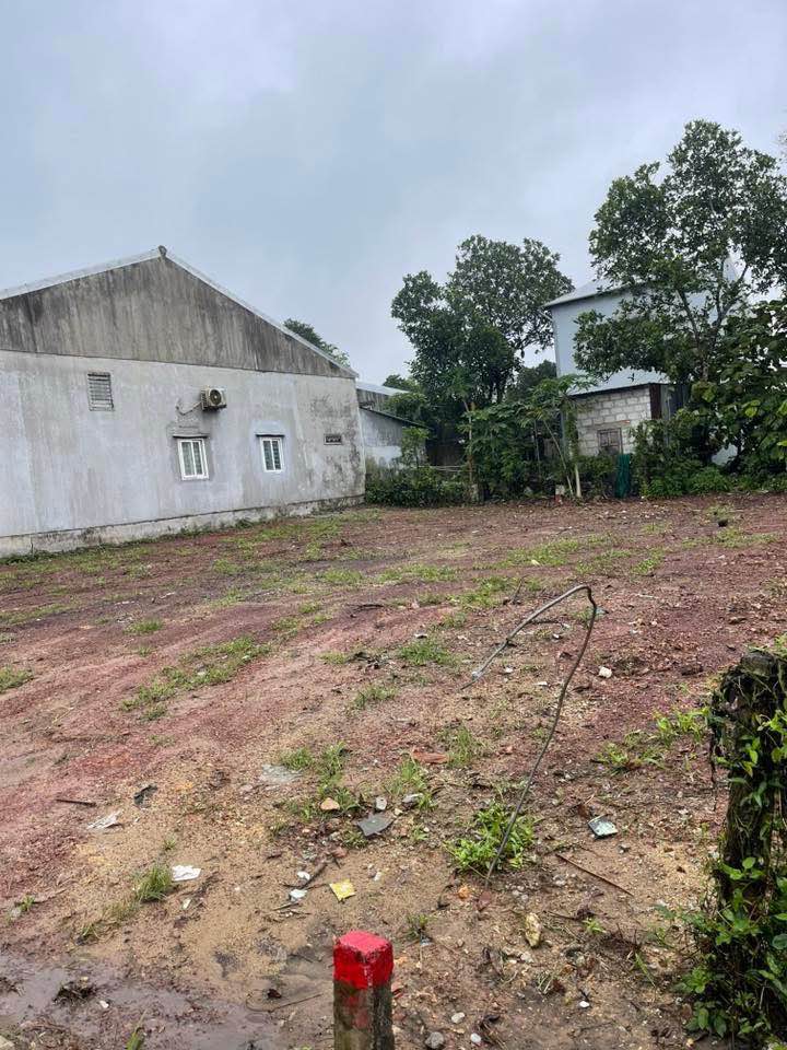 Đất Nền Mặt Tiền Thu Bồn Huế - 135m² Sổ Hồng Chính Chủ