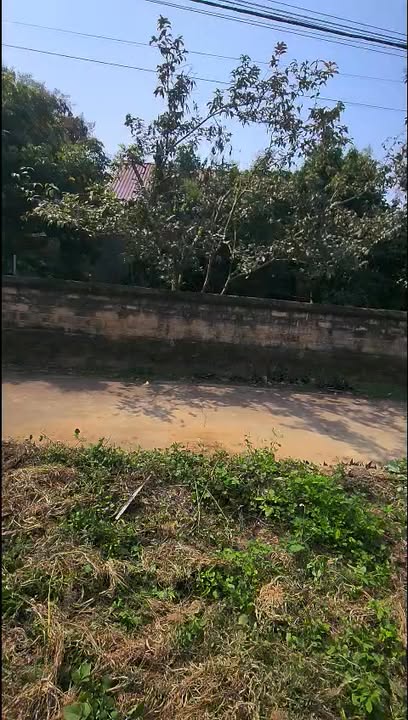 Đất Nền Lục Nam, Bắc Giang 87m² - Giá Gốc Đầu Tư