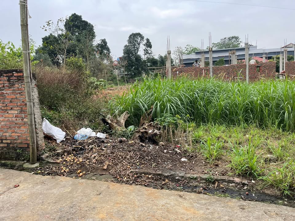 Đất nền Kim Đức, Việt Trì 101m² - Cắt lỗ sâu, giá chỉ 9xx triệu